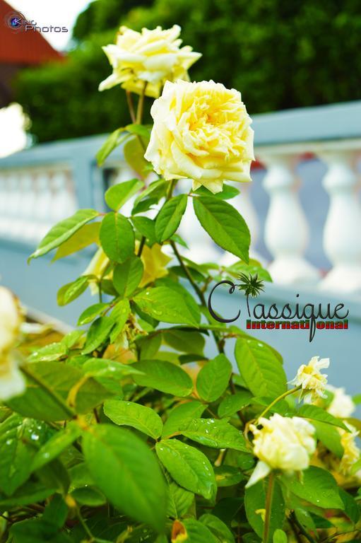 Classique International In Dominica Marigot Dış mekan fotoğraf