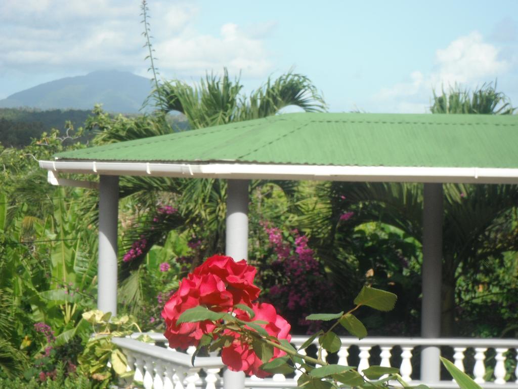 Classique International In Dominica Marigot Oda fotoğraf