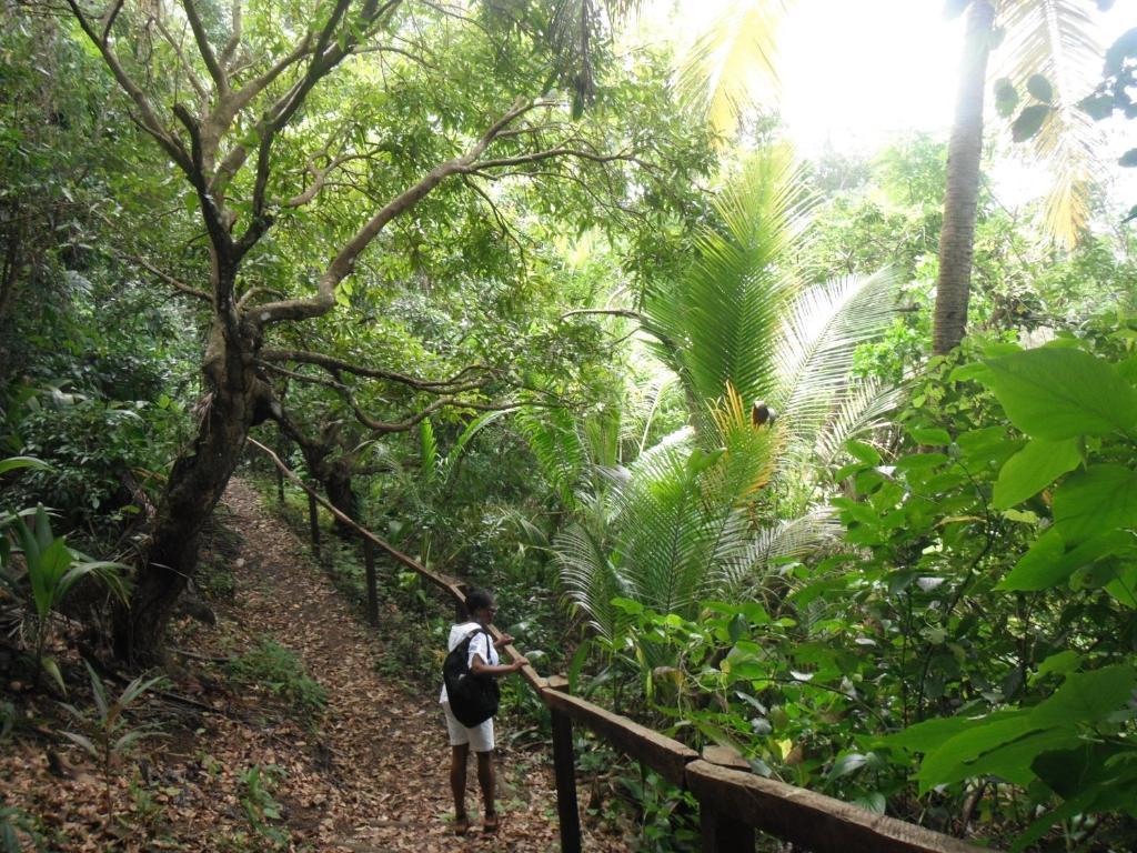 Classique International In Dominica Marigot Dış mekan fotoğraf